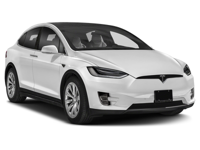 2019 Tesla Model X P100D